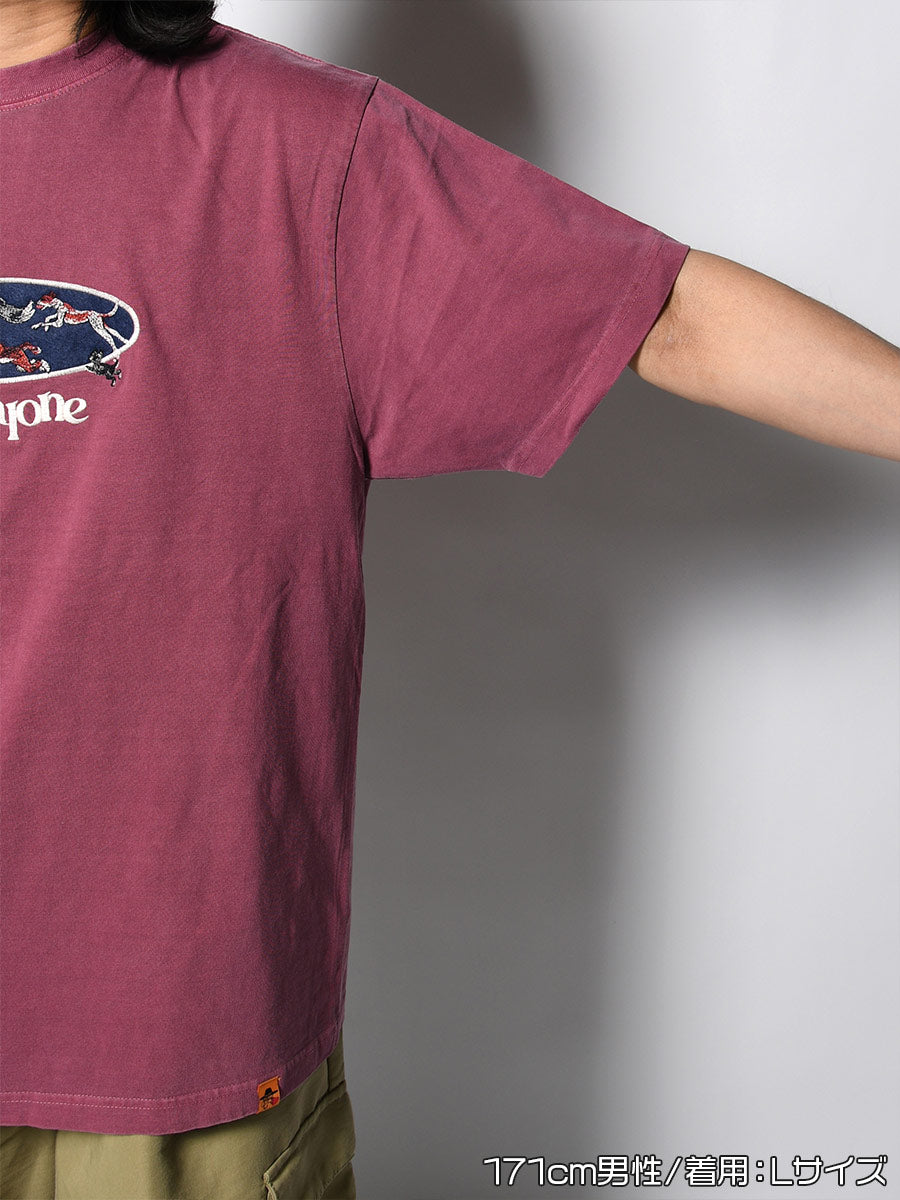 PIGMENT DOG SS TEE -PURPLE-