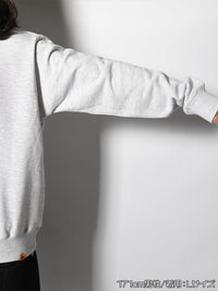 HALF ZIP SWEAT -ASH-