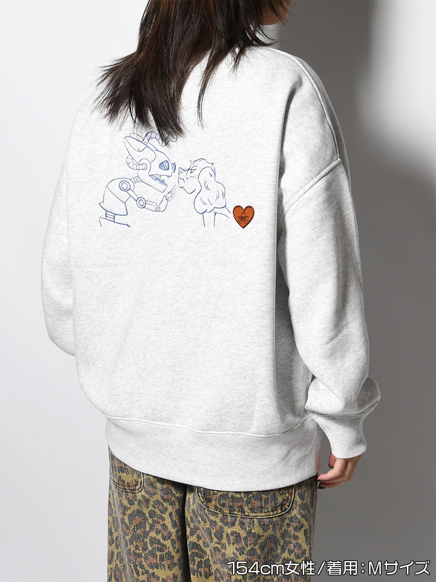 FRIENDSHIP BIG SW -ASH-